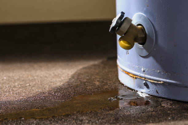 Best Residential water damage restoration  in Pennside, PA