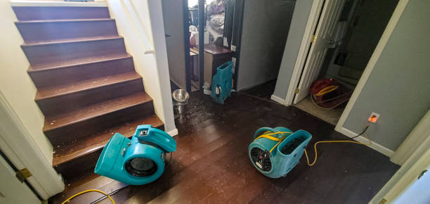 Best Ceiling water damage repair  in Pennside, PA