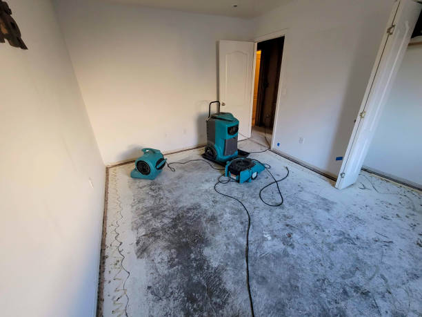 Best Carpet water damage restoration  in Pennside, PA