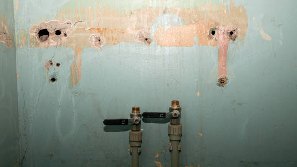 Best Local water damage restoration  in Pennside, PA