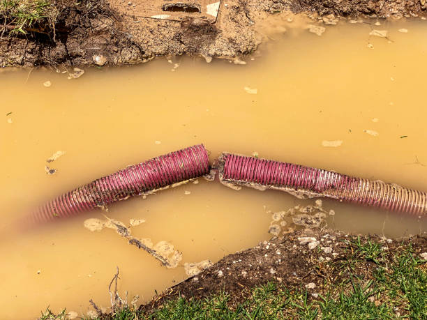 Best Water damage restoration near me  in Pennside, PA